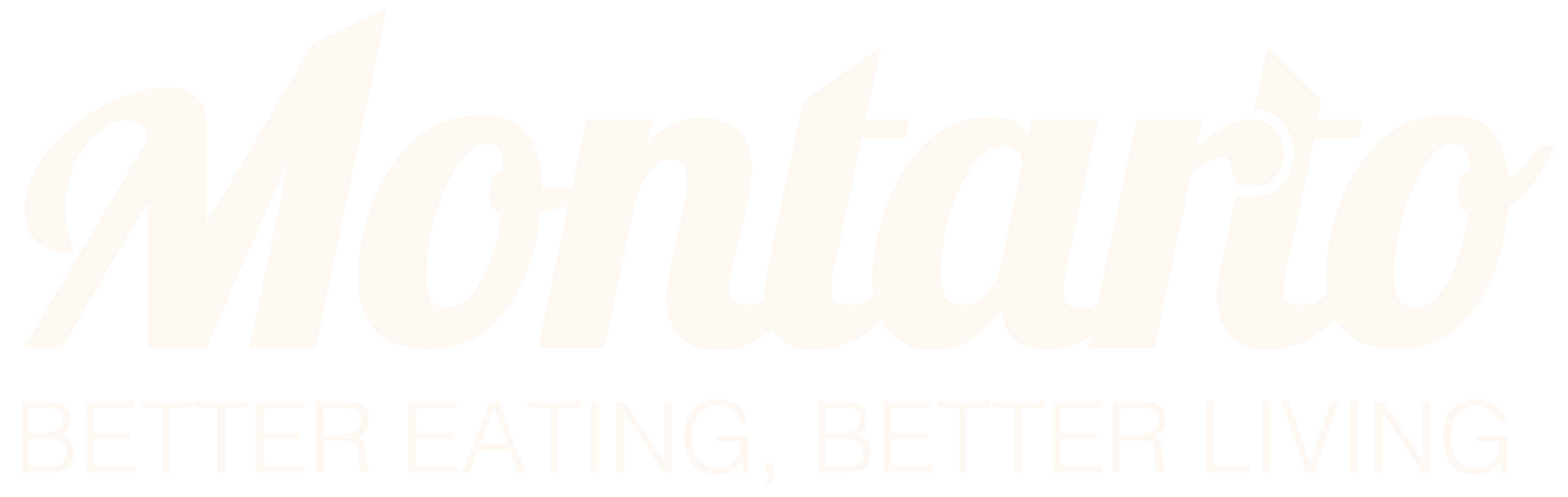 Montarto Foods